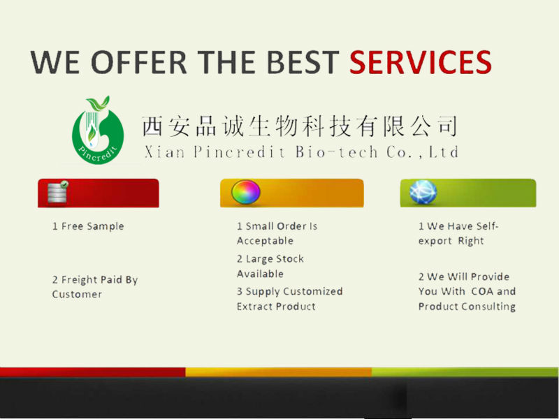 Cinnamon Bark Extract Cinnamaldehyde Cinnamon Price In China