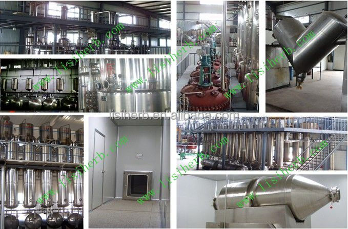 2014 new batch factry supply reishi mushroom extract, reishi extract, reishi