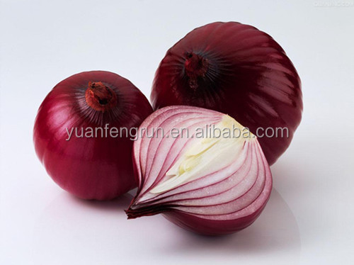 Fresh red onion