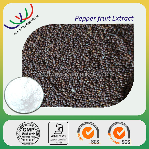 piperine free sample HACCP KOSHER GMP certified China factory food grade 10% black pepper extract piperine