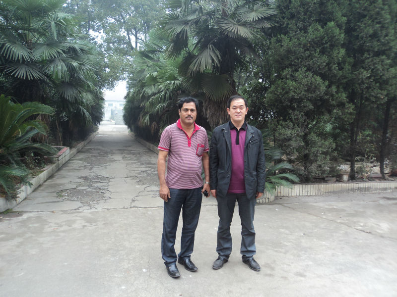 MNMS16 Rice Emery Roller for Hubei Yongxiang whitener,China LIUFANG