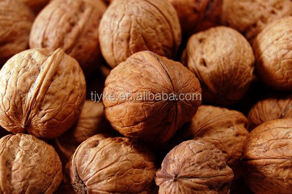 walnuts in shell price