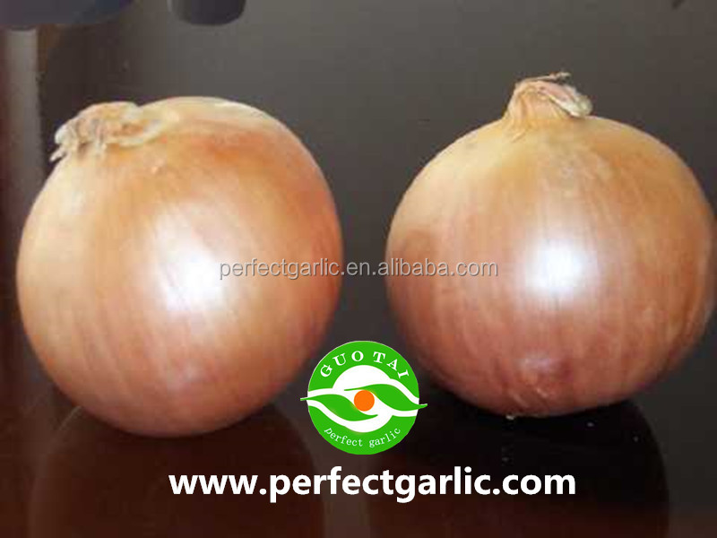 2014 New Crop Fresh Red Onion