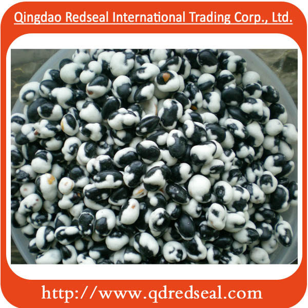 Coated Green Pea