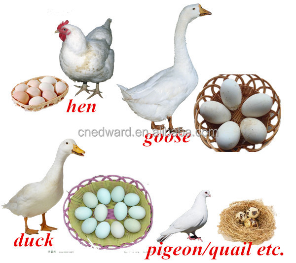 Best Seller Automatic Duck Egg Incubator And Hatcher For 96 Eggs/ CE 