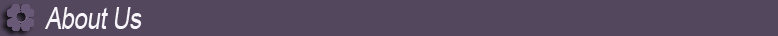 卸売alibabaのラグジュアリースパゲッティストラップシフォンビーズの黒チュール人魚黒2014年zyc1859魚尾イブニングドレス問屋・仕入れ・卸・卸売り