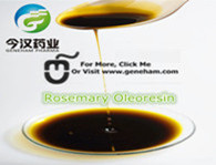 Rosemary Extract Ursolic Acid