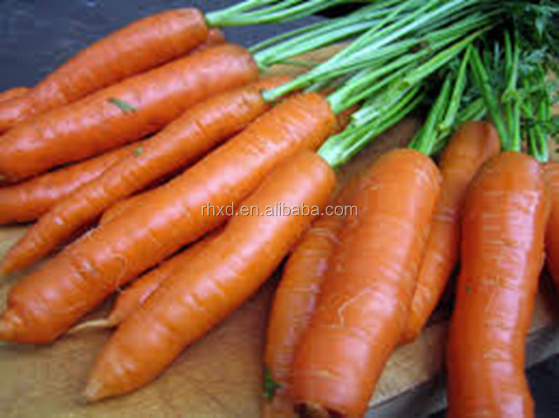 2014 New Crop bulk carrot