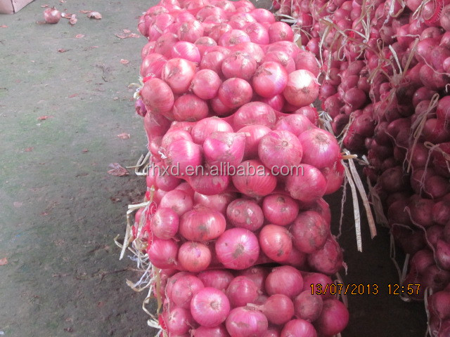 2014 new crop 60mm size red onion