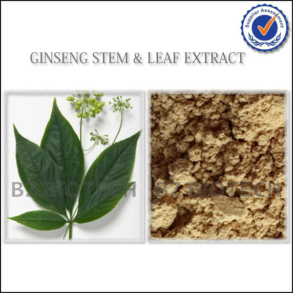 KOREAN RED GINSENG LEAF EXTRACT POWDER FOR TEA,WATER SOLUBLE GINSENG LEAF EXTRACT POWDER