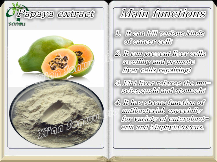 pawpaw extract papain enzyme tablets enzyme papain