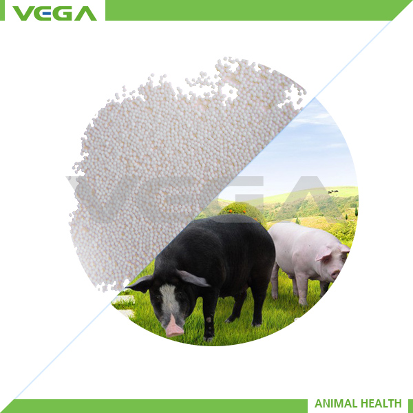 Animate Vitamin E Capsules