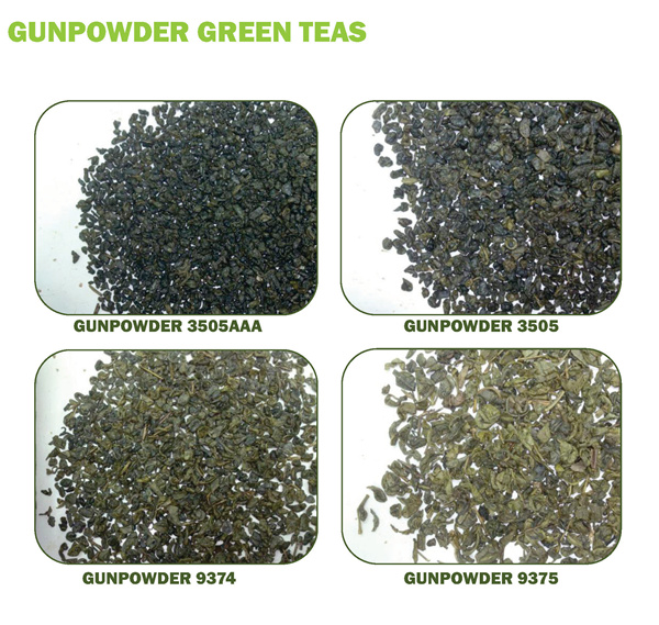 GUNPOWDER