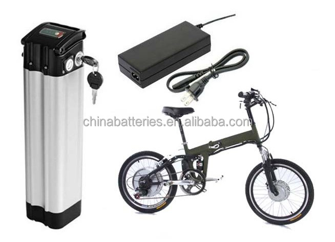 electric bike battery (1)