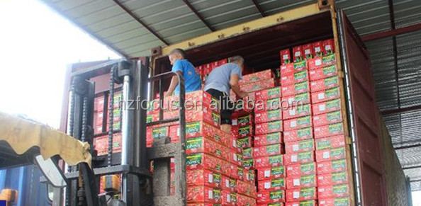 Drum Packing Tomato Paste with Brix 28-30% 30-32% 36-38%