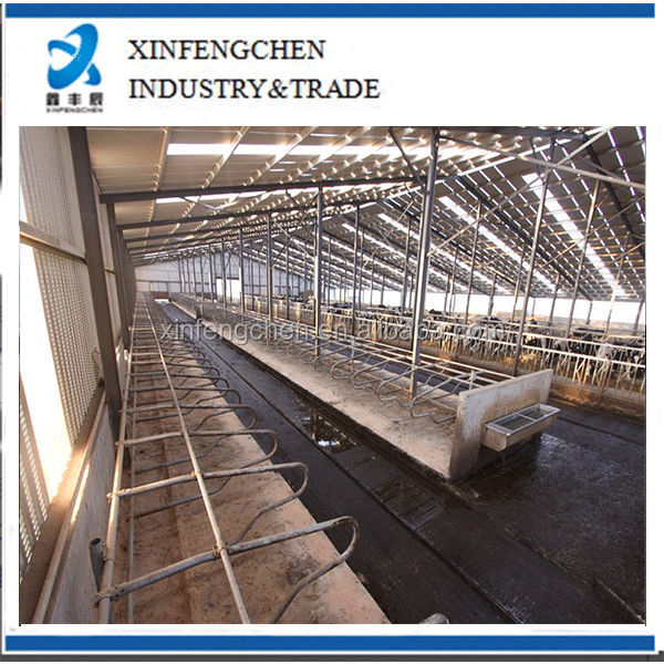 cattle-free-stall.jpg