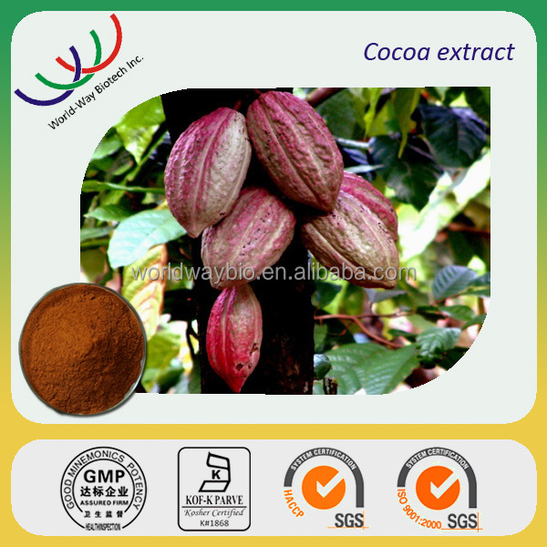 Free sample for trial HACCP Kosher FDA China manufacturer R&D advantage product strong antioxidant cocoa polyphenols