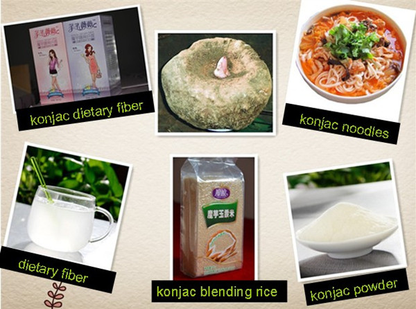 Konjac noodles/knots without wheat or corn