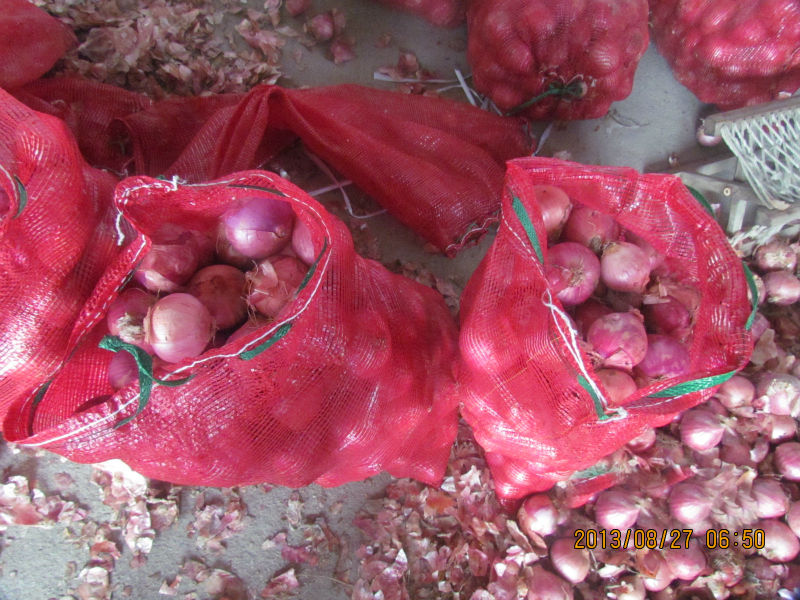 2014 new corp fresh small onions
