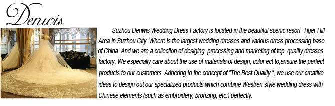 フクシアdws739シースビーズの長い袖なしのイブニングドレスのイブニングドレススリット2014年トルコで問屋・仕入れ・卸・卸売り