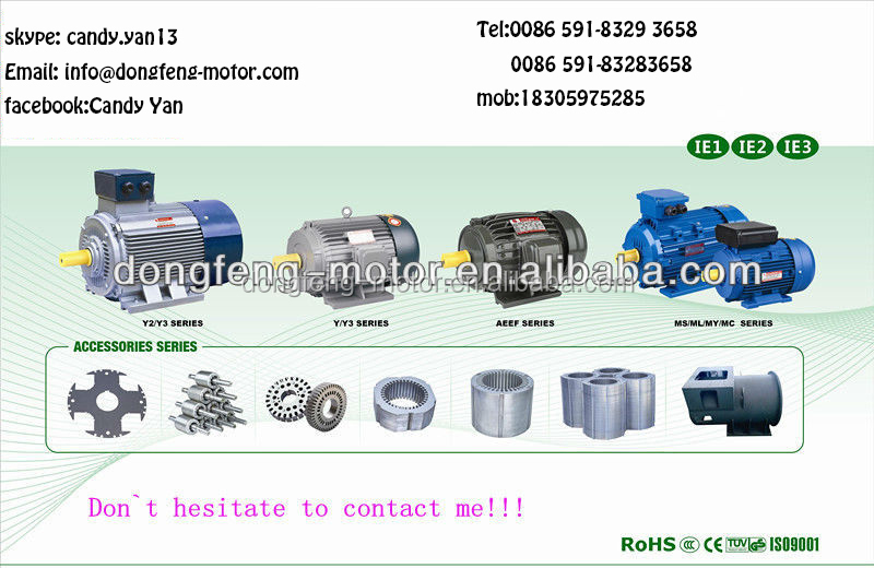 220V 380V 4000V 110v EC Standard MS Electrical Motor Made In China Electric Motors