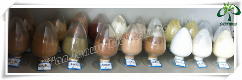 raw state pure cocoa butter (Yellow)
