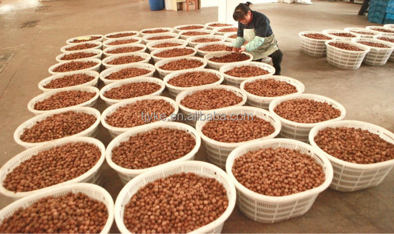 Raw Peanut with best price