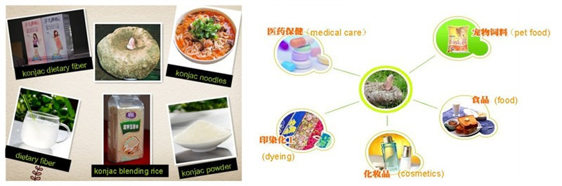 Low calories konjac noodles in knots