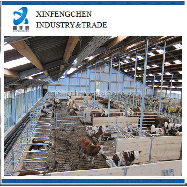 Free-stall-barn-for-cattle