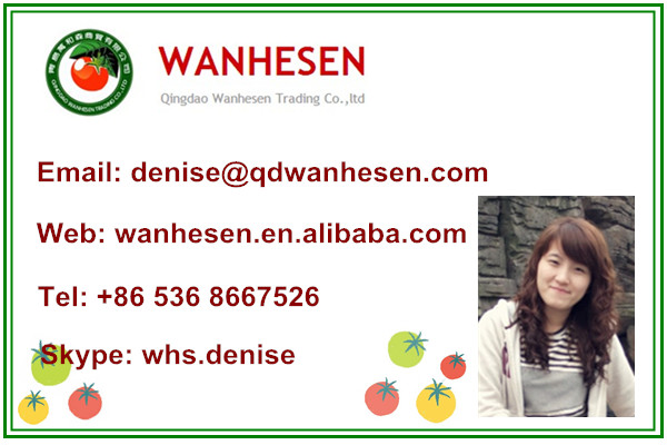 bulk tomato paste, 2200g tomato paste