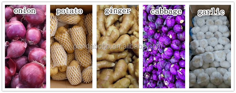 2014 new red onion in china in wholesale price for malaysia export