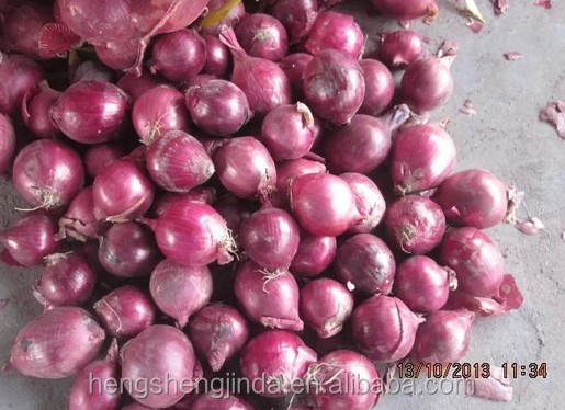 Fresh red onion