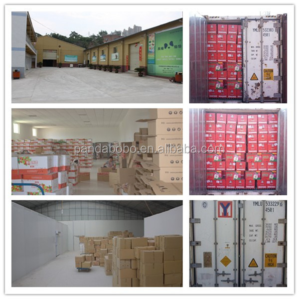 2014 new red onion in china in wholesale price for malaysia export