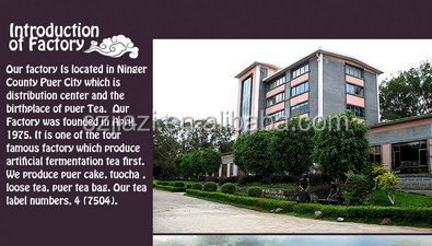 Raw puer chinese diabetes tea
