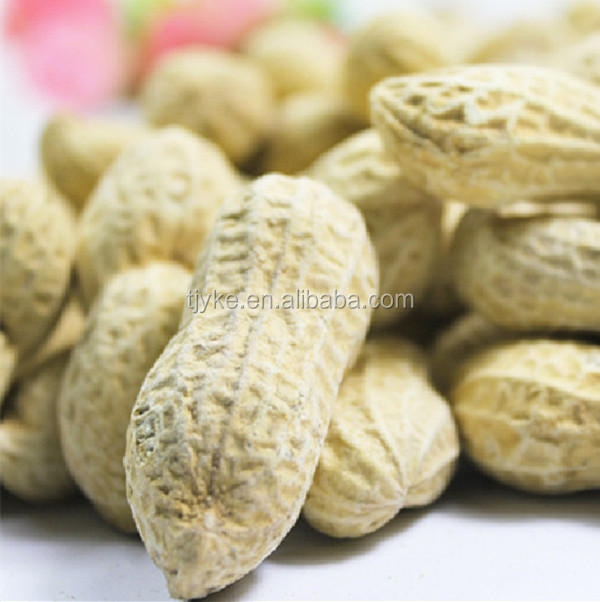 peanut in shell for sale