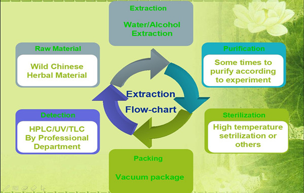 Natural Cocoa Extract/Cheap Cocoa Powder