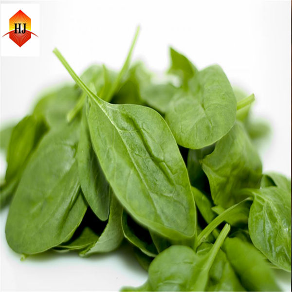 hot sale tea polyphenol from china manufacturer
