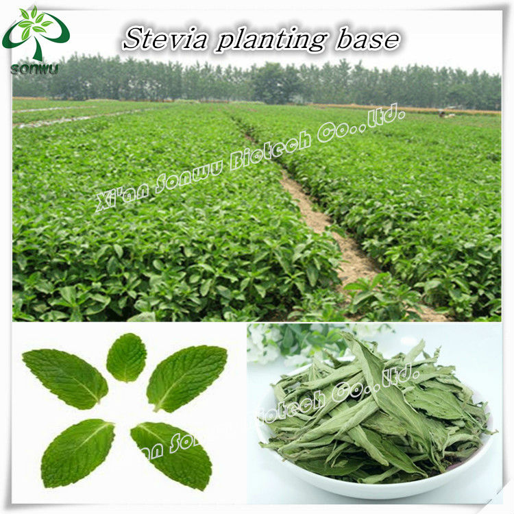 international price for stevia in bulk stevia sachet