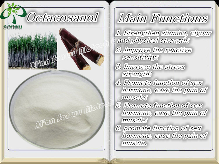 Sugar cane extract octacosanol policosanol