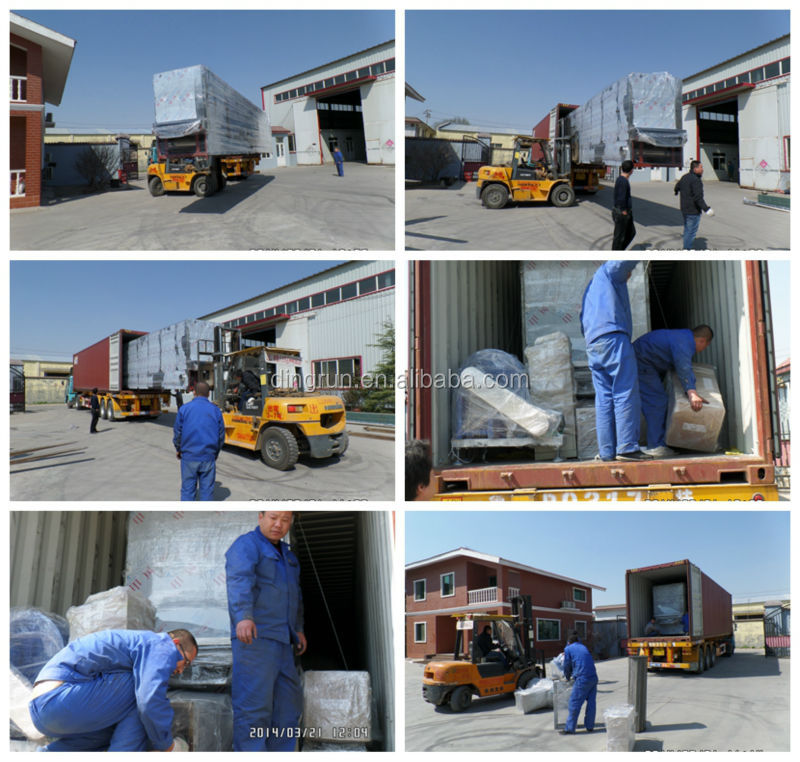 Dog feed processing line