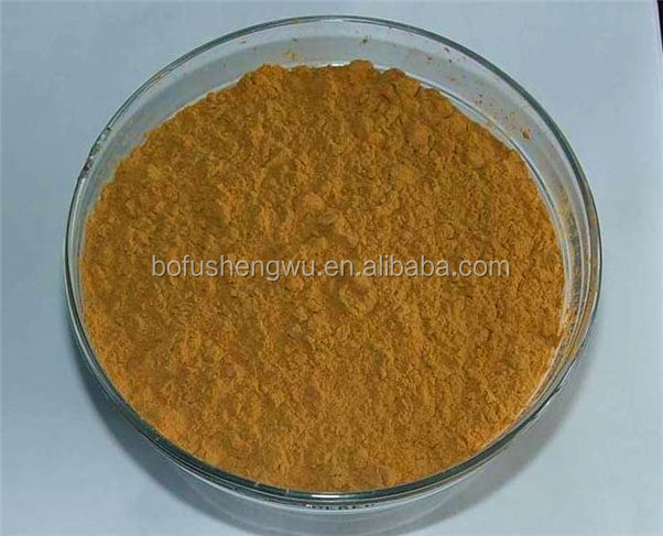 goji berries extract polysaccharide,organic goji berries extract