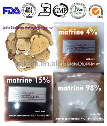 natural Biopesticide raw material matrine / matrine insecticide