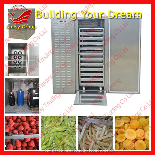 の食肉加工機ams-220l/iqf冷凍庫の容量26リットル--- 830l問屋・仕入れ・卸・卸売り