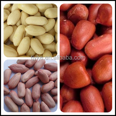 Raw Peanut with best price