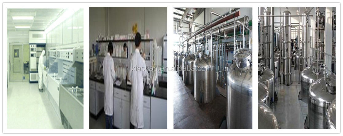 Decaffeinated Green Tea Extract Powder,Matcha Green Tea Extract,Green Tea Extract Polyphenol