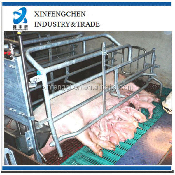 pig-farrowing-pen