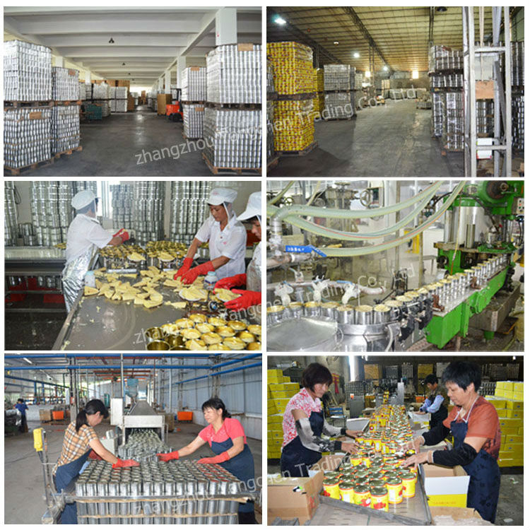 Types of canned food product canned sardine ready to eat tomato sauce