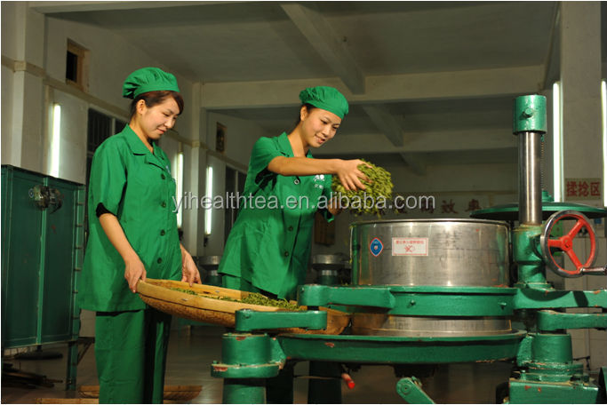 Best quality E.U, USDA,JAS certificated organic green tea