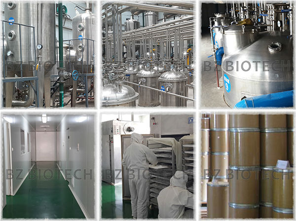 SIBERIAN GINSENG POWDER FOR TEA,WATER SOLUBLE GINSENG POWDER