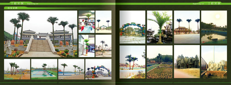 9m afforest tree factory price playground/park/beach indoor&outdoor festival decoration fiberglass artificial king coconut tree